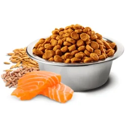 ND Tropical salmón perros medium maxi pienso para perros