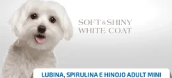 Nd White dog LUBINA monoprotéico perros adultos