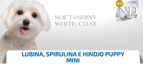 Nd White puppy mini LUBINA monoprotéico cachorros 1,5 kg