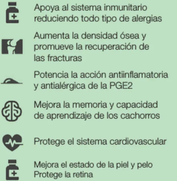 Nutriderm DHA 400 ácidos grasos perros 30 cápuslas