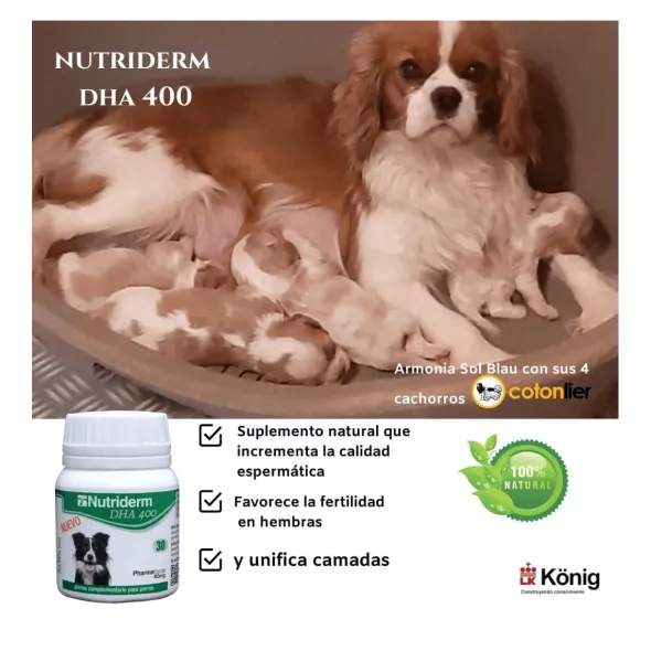 Nutriderm DHA 400 ácidos grasos perros 30 cápuslas