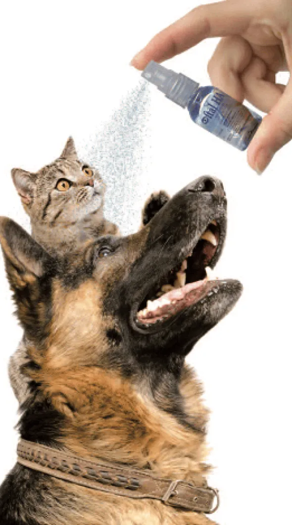 Oftal HA Nebulizador spray ojos perros gatos 25 ml