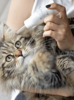 Otihelp loción limpiadora oídos perros gatos 75 ml