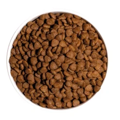 Ownat Classic Kitten gatitos 4 kg