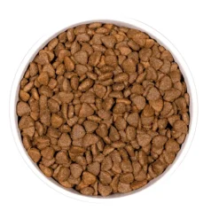 Ownat GF prime kitten gatitos 3 kg