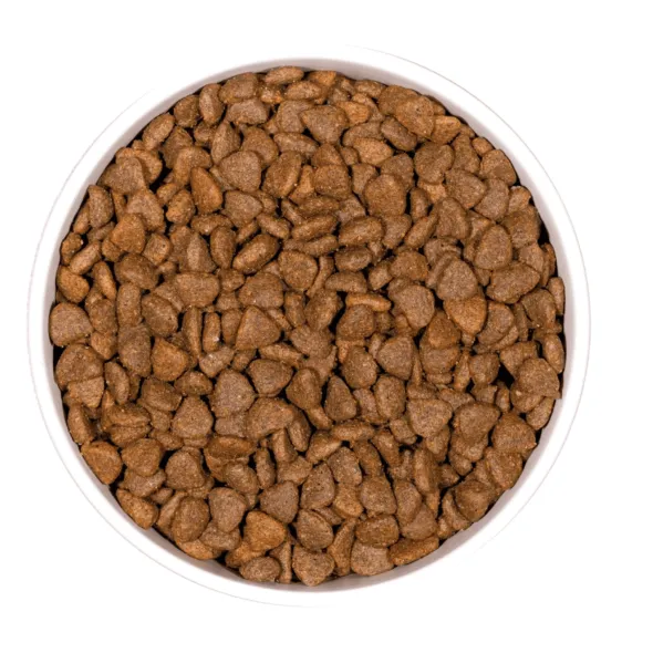Ownat GF prime kitten gatitos 3 kg