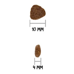 Ownat GF prime kitten gatitos 3 kg