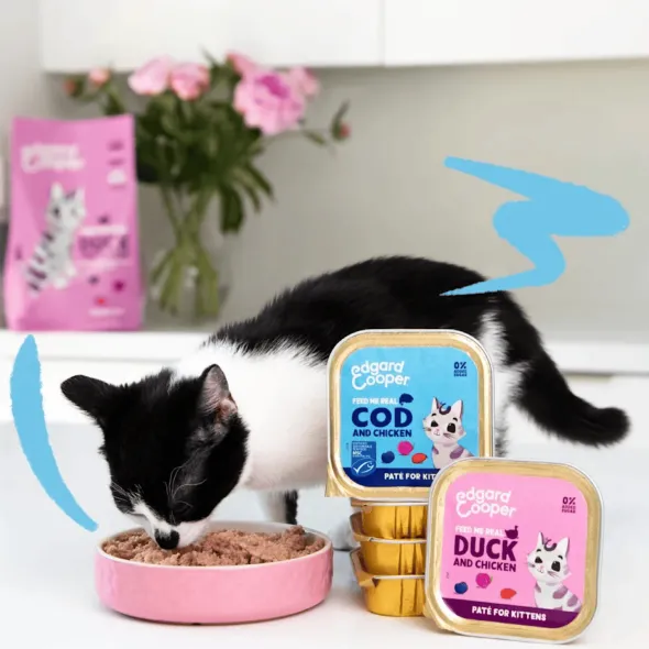 Paté Pato Pollo kitten sin cereales Edgard Cooper 16×85 g