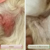 PicorFix HYPO Chews Suplemento hipoalergénico para perros con picor