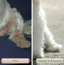 PicorFix HYPO Chews Suplemento hipoalergénico para perros con picor