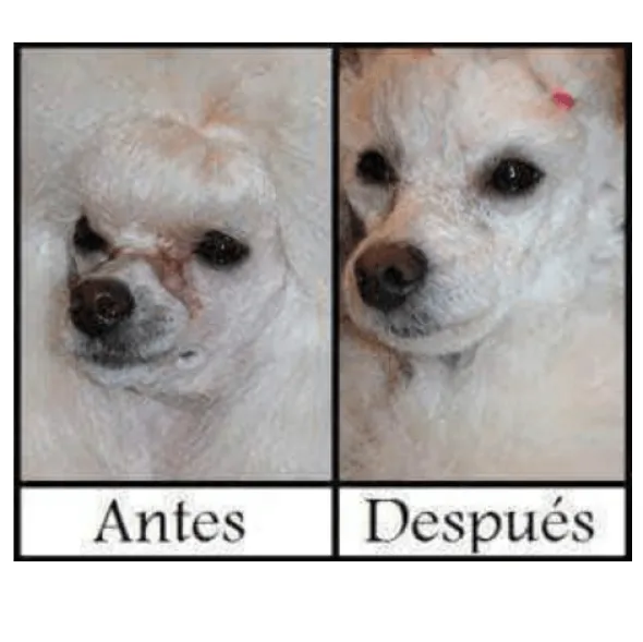 Pretty Eyes Artero perros y gatos 300 ml