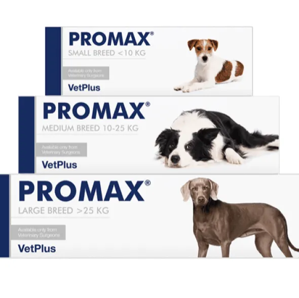 PROMAX antidiarréico en crema para perros y gatos