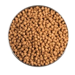 Pro plan EN gastrointestinal pienso para gatos