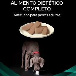 Proplan Gastrointestinal EN Mousse perros intestino y páncreas