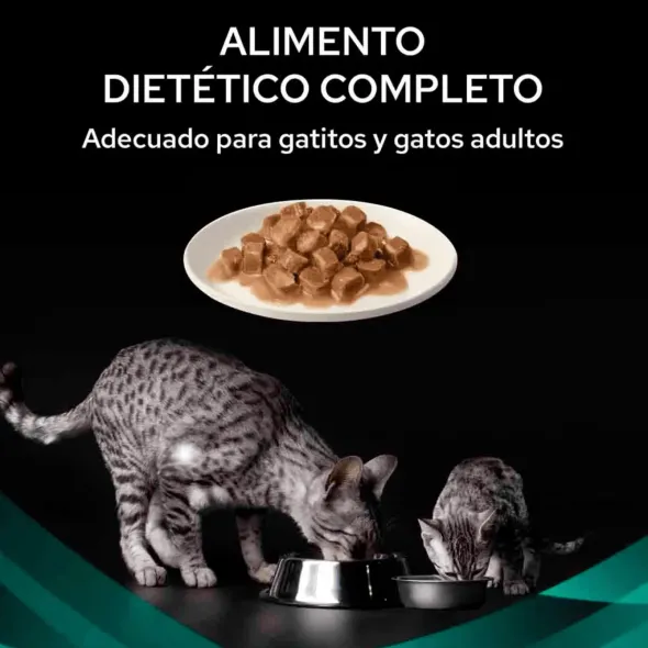 Pro Plan gastrointestinal pollo pouch feline gatos 10x85g