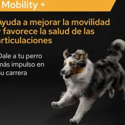 Proplan Mobility + suplemento articular perros 60 g
