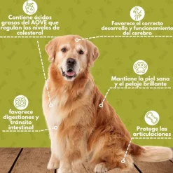 PROXPET Aceite oliva virgen extra para Perros 250 ml