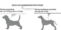 PULSIX perros pipetas spot on antiparasitaria para perros