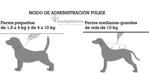 PULSIX perros pipetas spot on antiparasitaria para perros