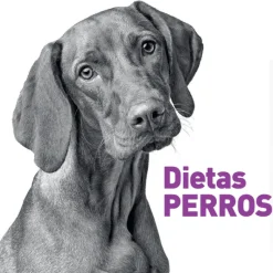 RECOVERY dog lata VetExpert perros 6×400 g