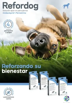 REFORDOG Pipetas antiparasitarias para perros | Protección completa contra pulgas, garrapatas y mosquitos, 4 pipetas