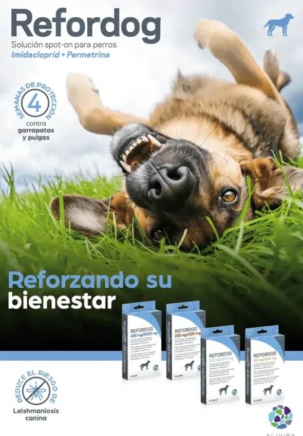 REFORDOG Pipetas antiparasitarias para perros | Protección completa contra pulgas, garrapatas y mosquitos, 4 pipetas