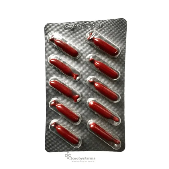Renalvet ULTRA gatos 60 cápsulas