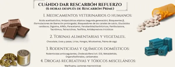 Rescarbón Refuerzo perros y gatos Salud digestiva avanzada y control de gases
