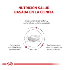 Royal Canin Renal perros pienso dieta veterinaria