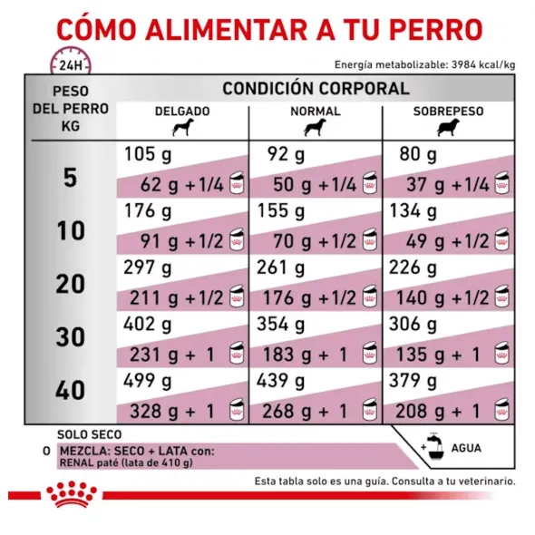 Royal Canin Renal perros pienso dieta veterinaria