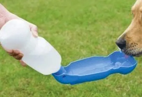 Savic Aqua-Boy Bebedero portátil 500 ml para perro