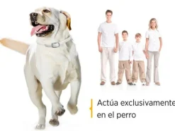 Scalibor Collar antiparasitario Deltametrina perros