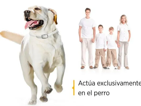 Scalibor Collar antiparasitario Deltametrina perros