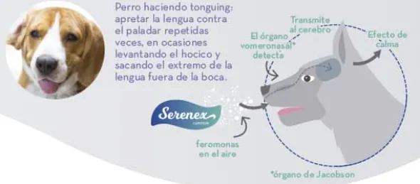 SERENEX perros difusor y recambio