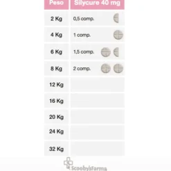 Silycure 40 mg apoyo hepático perros y gatos 60 comprimidos