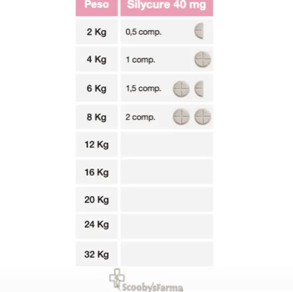 Silycure 40 mg apoyo hepático perros y gatos 60 comprimidos