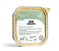 Specific Intensive Support Convalescencia perros gatos