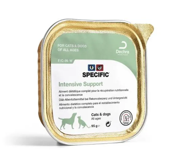 Specific Intensive Support Convalescencia perros gatos
