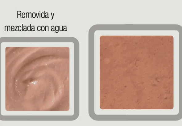 Specific Intensive Support Convalescencia perros gatos