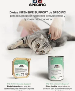 Specific Intensive Support Convalescencia perros gatos