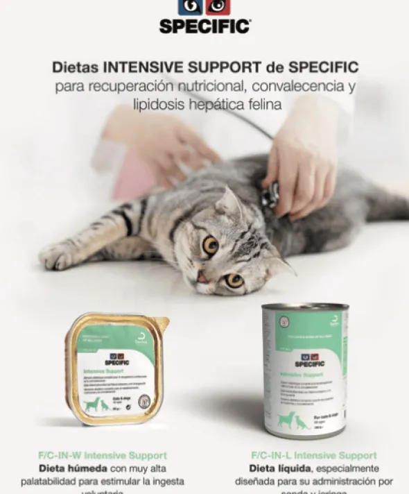 Specific Intensive Support Convalescencia perros gatos