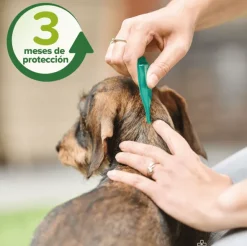 Spot On pipetas repelentes perros Beaphar 3 pipetas