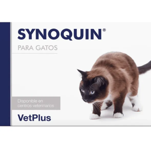 Synoquin gatos condroprotector 90 cápsulas