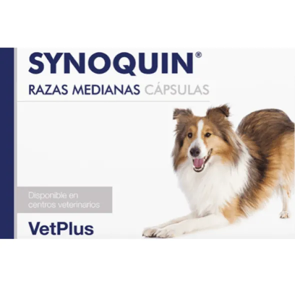 Synoquin Razas Medianas Condroprotector para perros