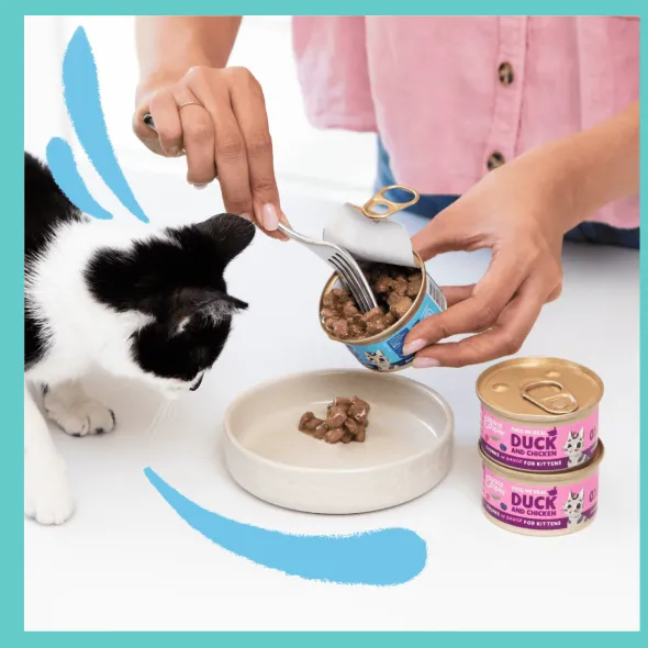 Trocitos Pato Pollo kitten sin cereales Edgard Cooper 18×85 g