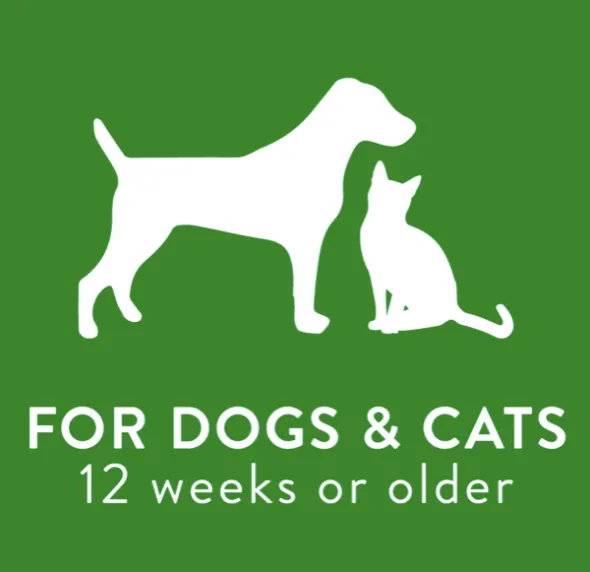 TropiClean Toallitas limpieza profunda perros gatos 100 unidades