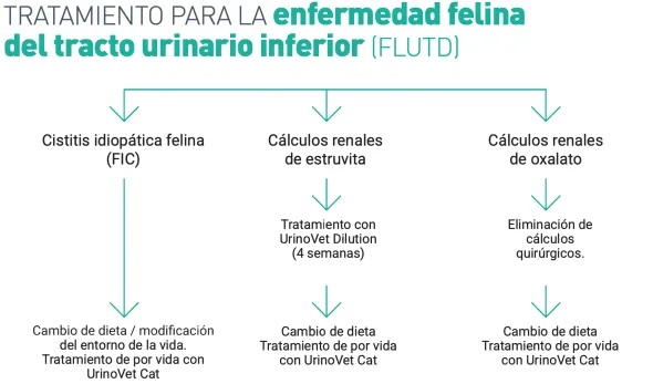 Urinovet CAT tracto urinario gatos 45 cápsulas