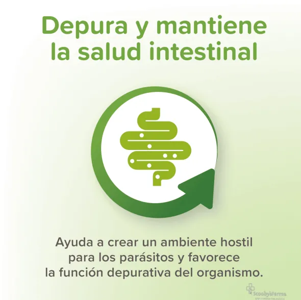 VERMIPURE gatos Antiparasitario INTERNO Natural 50 comprimidos
