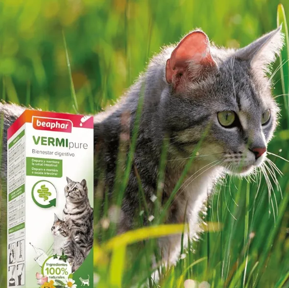 VermiPure Gatos Líquido Antiparasitario INTERNO Natural 50 ml
