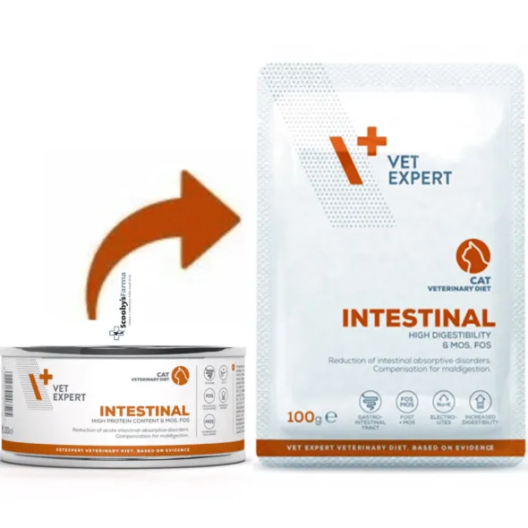 VetExpert Intestinal cat POUCH 12×100 g gatos